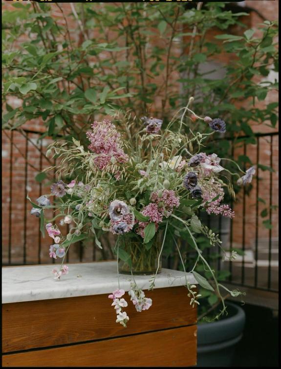 Fox Fodder Flowers image grid container slide 150