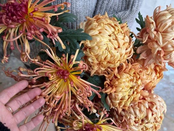 Fox Fodder Flowers image grid container slide 53