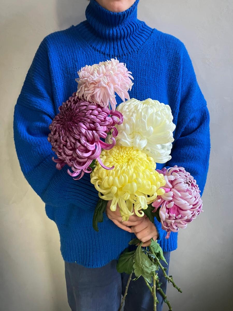 Product image in gallery for Mixed Bundle Bear Creek Chrysanthemum | Item 1