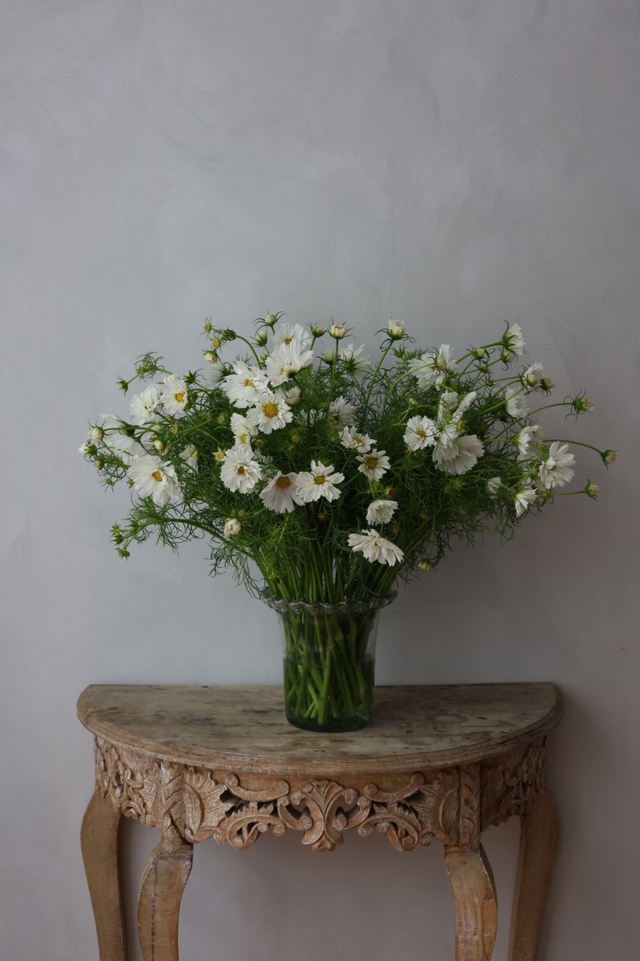 Product image in gallery for Afternoon White Cosmos | Item 1