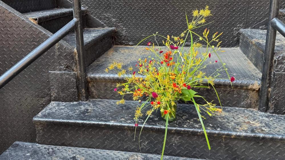 Fox Fodder Flowers Hero Slide 3 Image 1