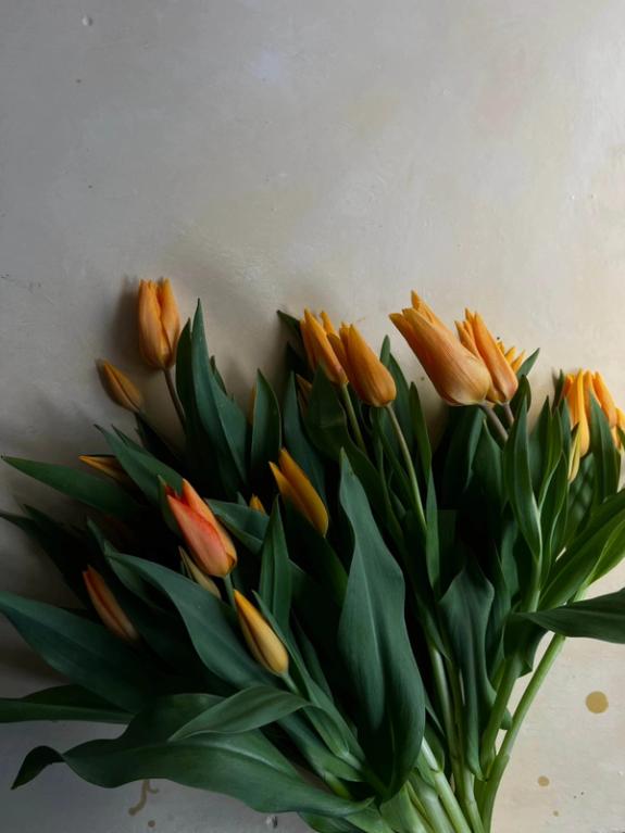 Hover Image of Tulip Shogun Bouquet