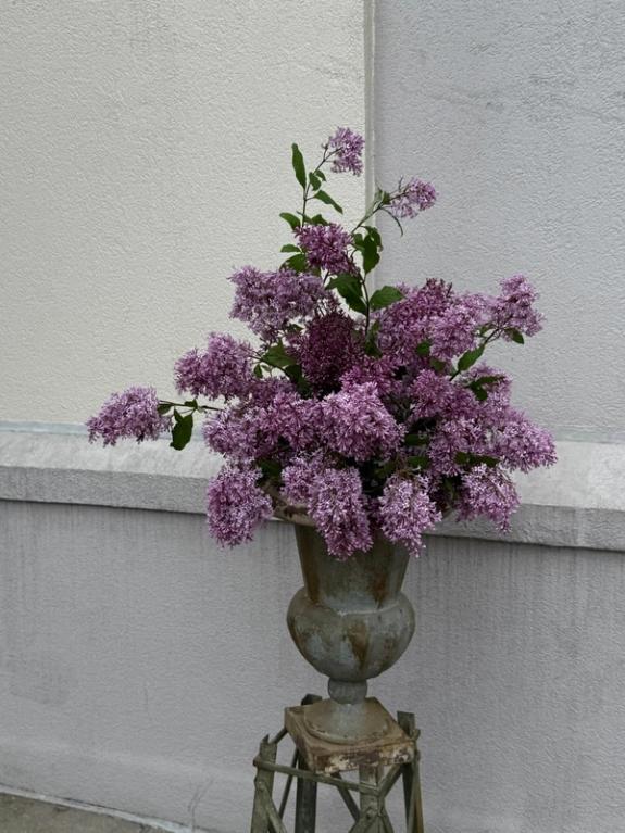 Fox Fodder Flowers image grid container slide 191