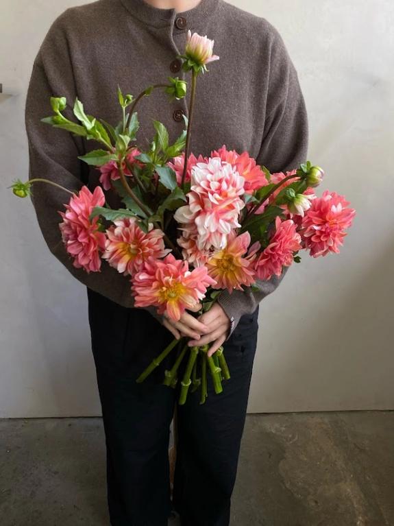 Hover Image of Peaches n' Cream Dahlias