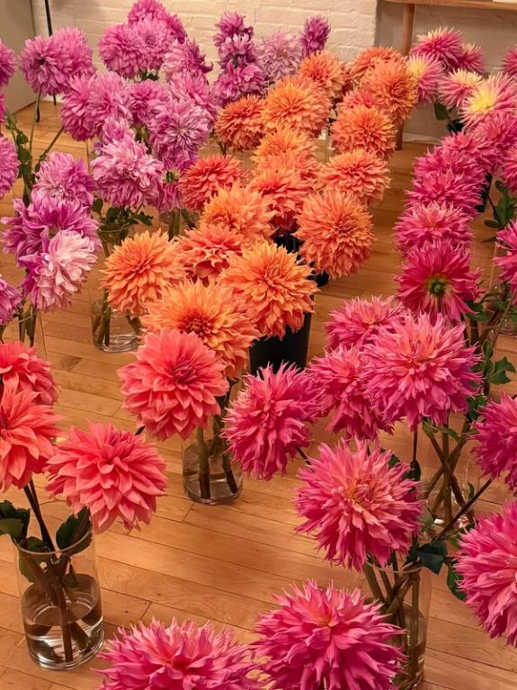 Fox Fodder Flowers image grid container slide 71