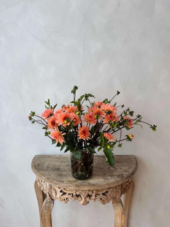 Thumbnail Image of Peach Fuzz Dahlias