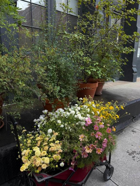 Fox Fodder Flowers image grid container slide 51