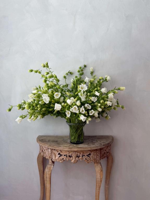 Thumbnail Image of White Campanula in Campo di Fiori Vase