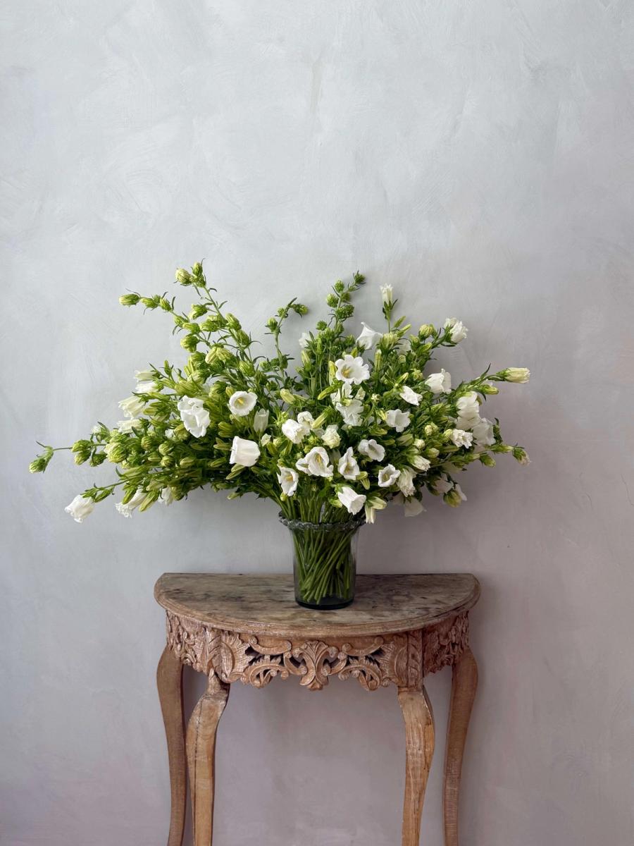 Product image in gallery for White Campanula in Campo di Fiori | Item 1