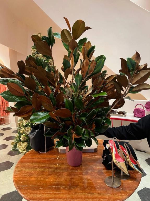 Fox Fodder Flowers image grid container slide 10