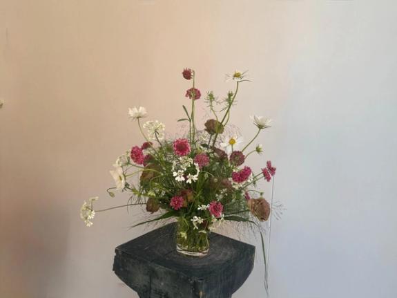 Fox Fodder Flowers image grid container slide 22