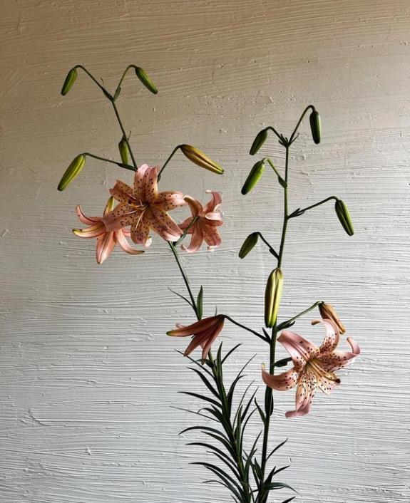 Hover Image of Pink Tiger Lilies