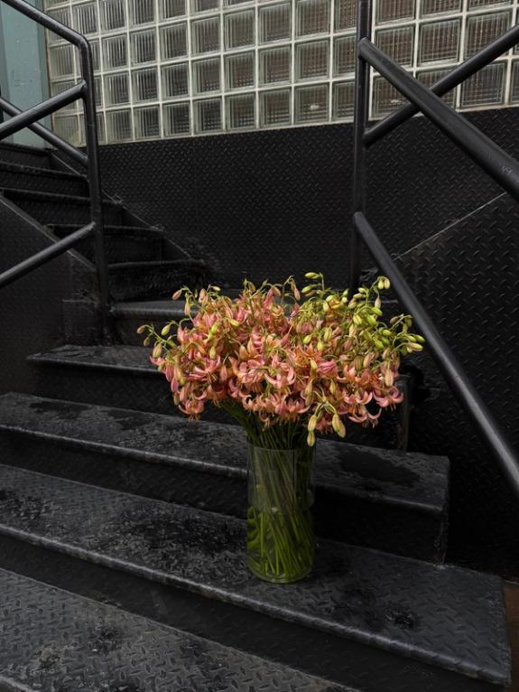 Fox Fodder Flowers image grid container slide 74