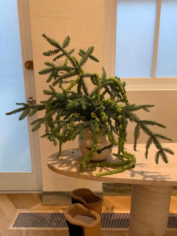 Fox Fodder Flowers image grid container slide 23