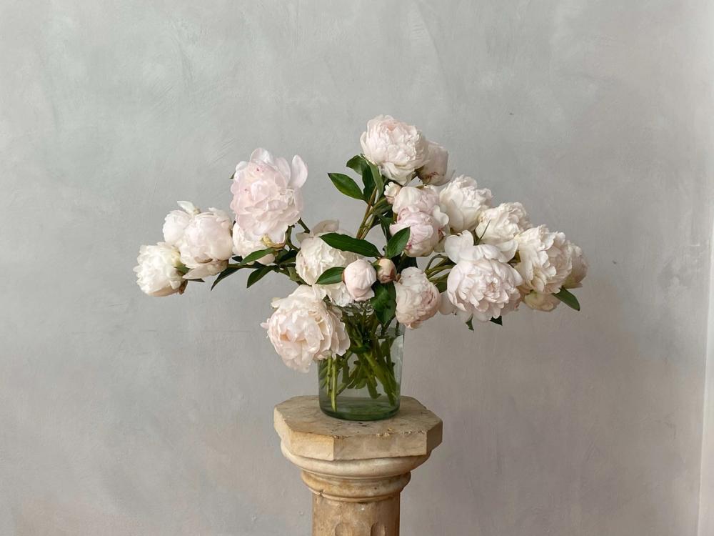 Fox Fodder Flowers Hero Slide 2 Image 1