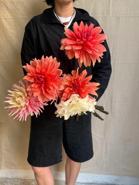 Thumbnail Image of Giant Bear Creek Dahlias