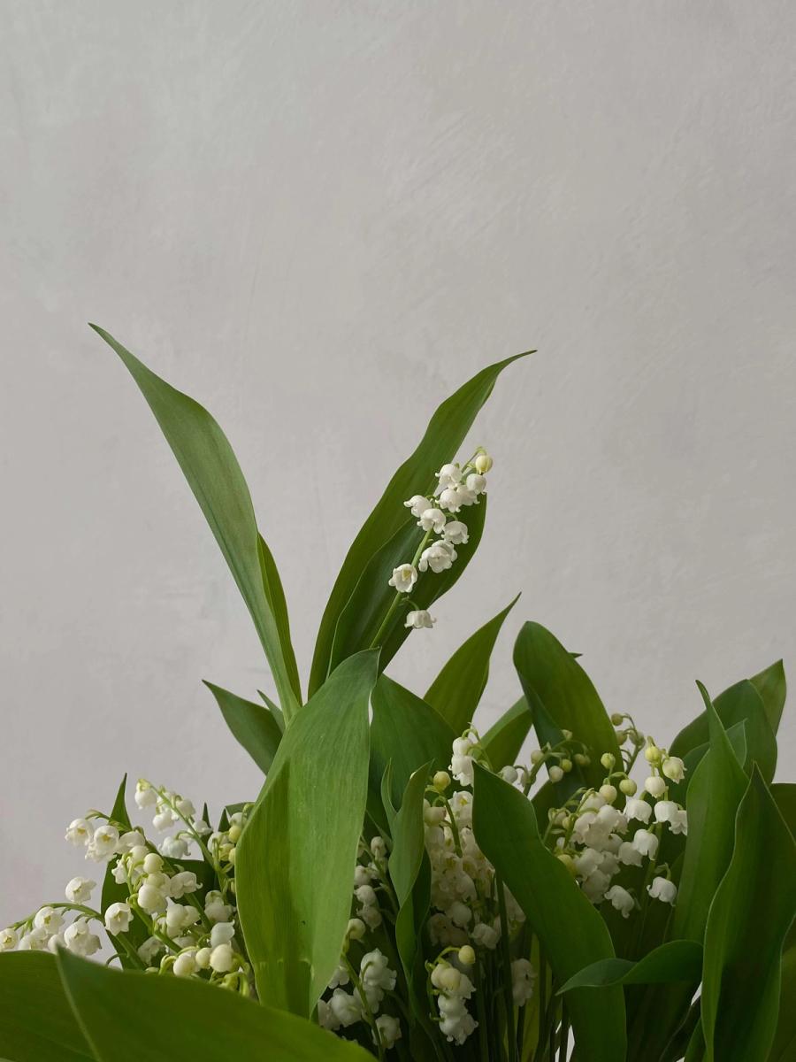 Product image in gallery for Mother's Day Lily of the Valley in la Soufflerie | Item 2