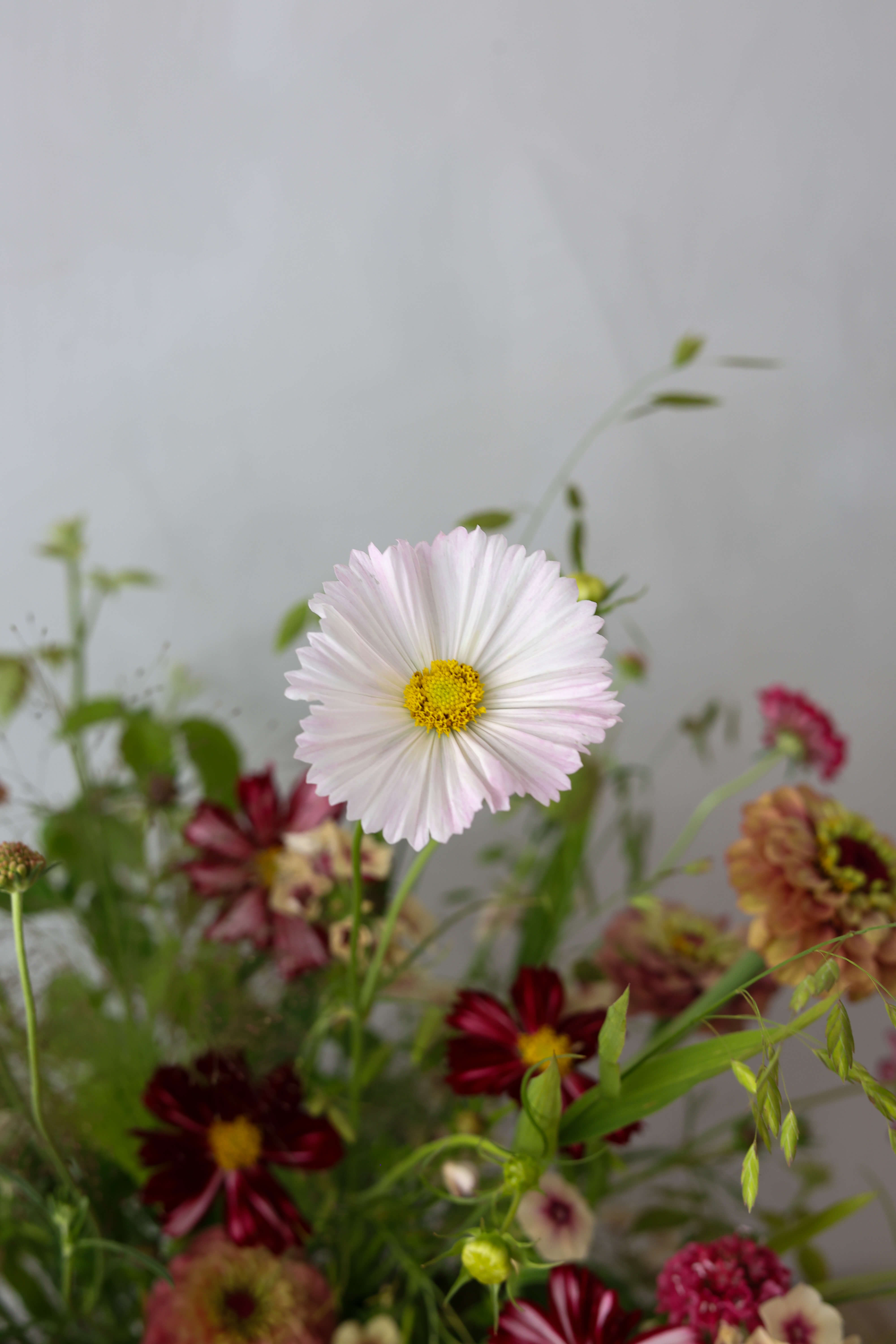Fox Fodder Flowers | Signature Flower Arrangement | Seasonal