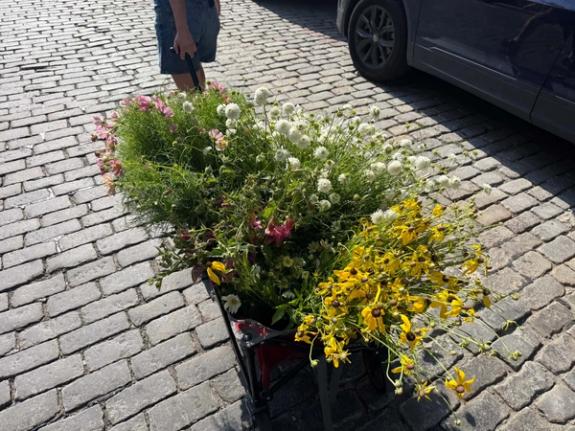 Fox Fodder Flowers image grid container slide 62