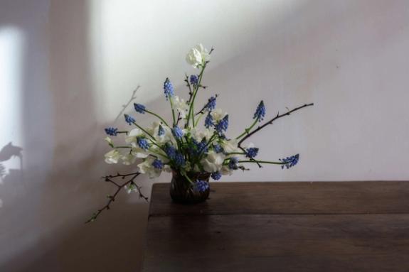 Fox Fodder Flowers image grid container slide 17