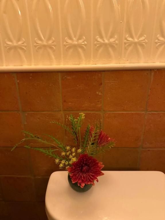 Fox Fodder Flowers image grid container slide 27