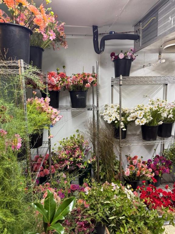Fox Fodder Flowers image grid container slide 32