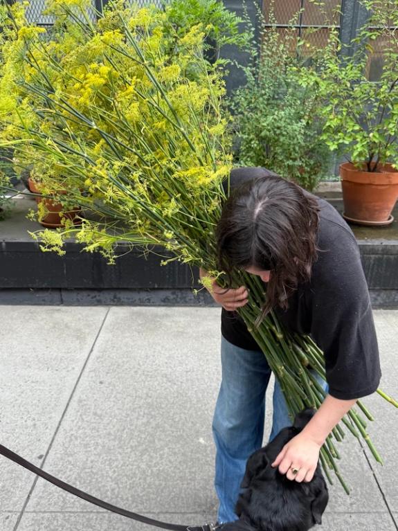 Hover Image of Bronze Fennel