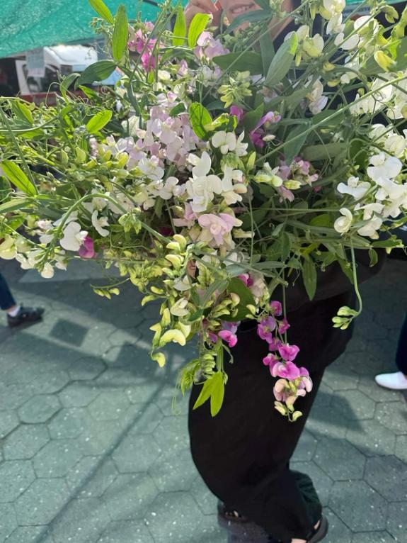 Fox Fodder Flowers image grid container slide 157