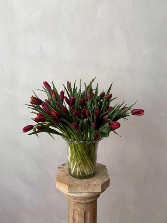 Thumbnail Image of Purple Sunrise Tulips