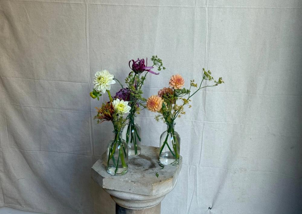 Fox Fodder Flowers Hero Slide 4 Image 1