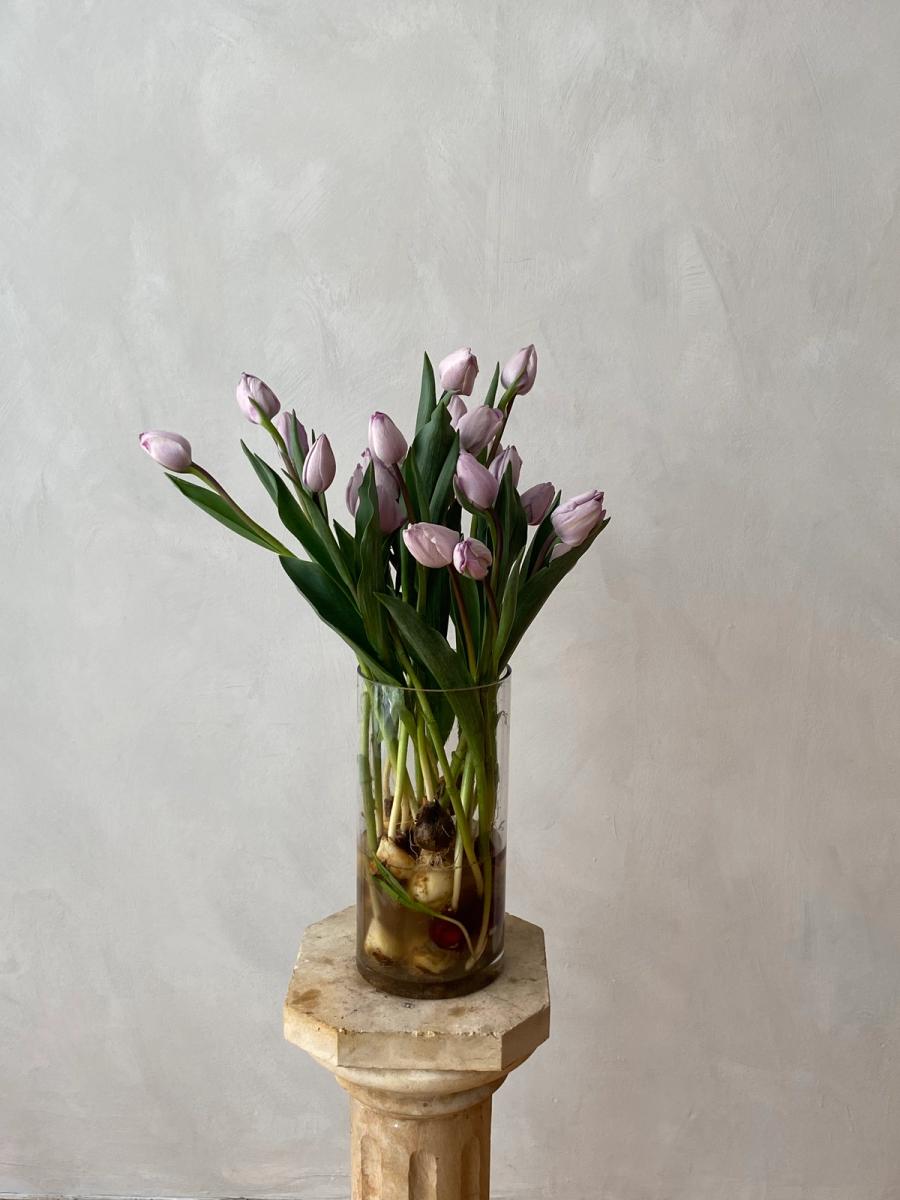Product image in gallery for jacuzzi Tulips on the bulb | Item 1