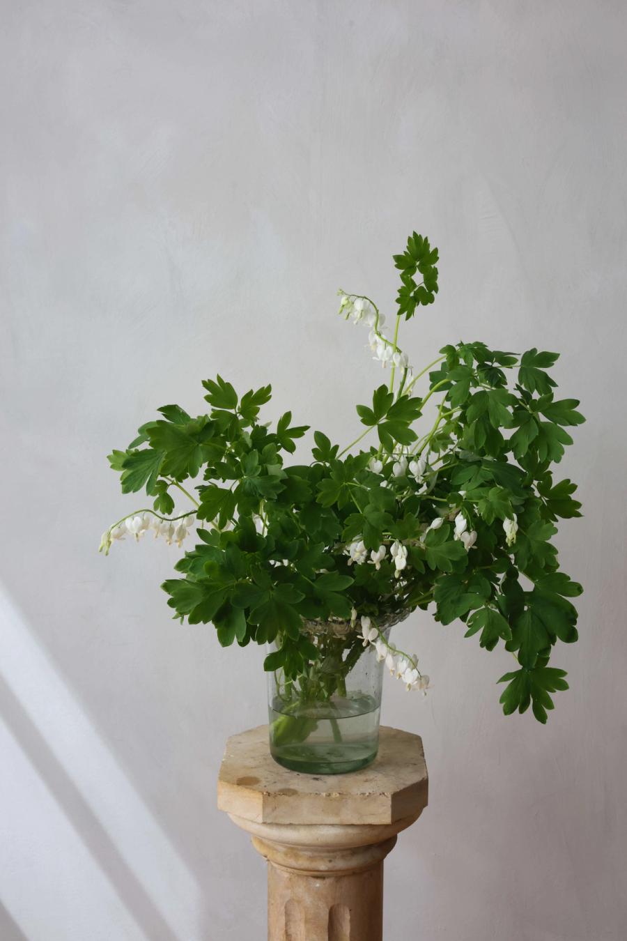 Product image in gallery for Bleeding Hearts | Item 1