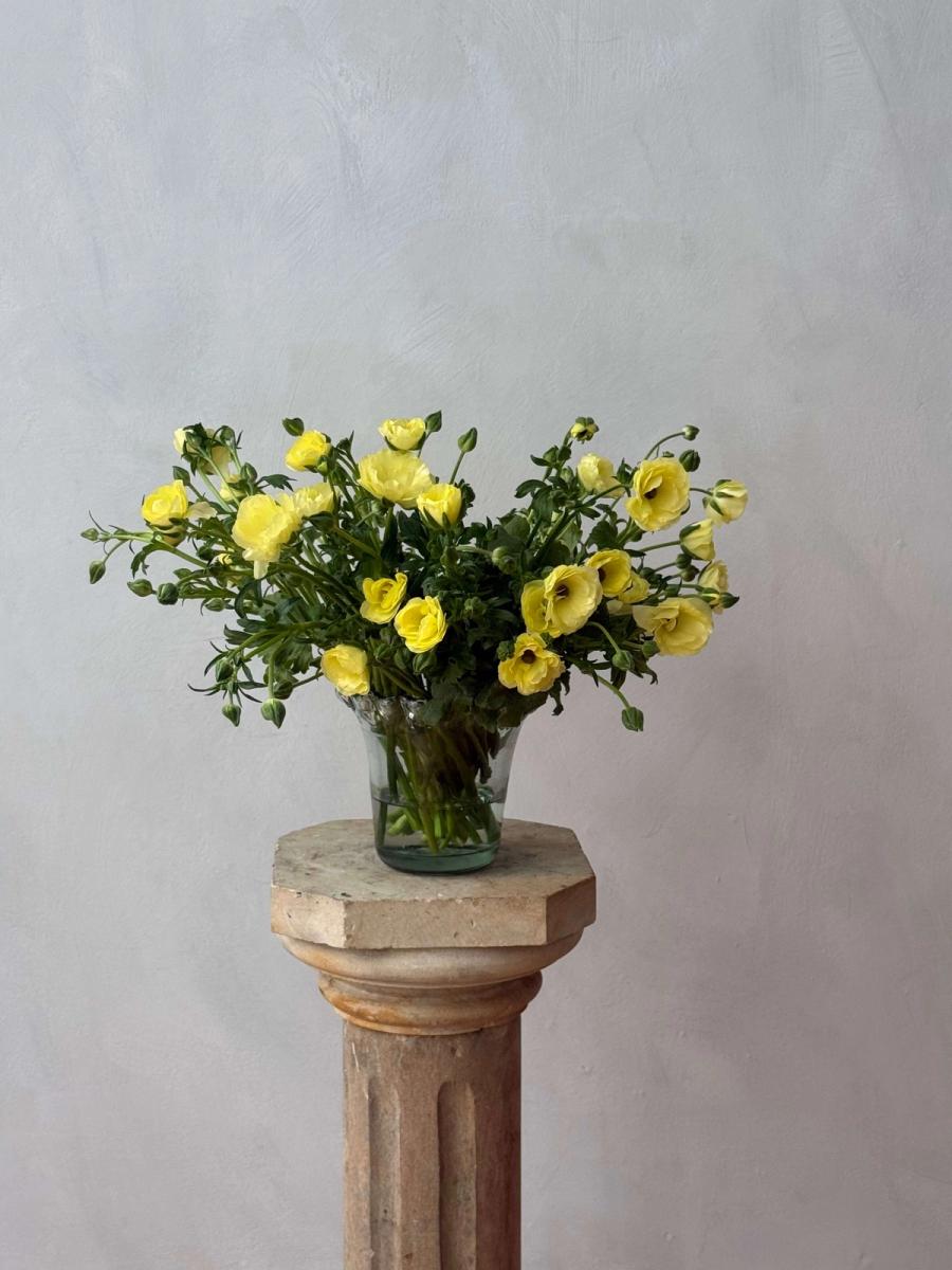 Product image in gallery for Helios Butterfly Ranunculus | Item 1
