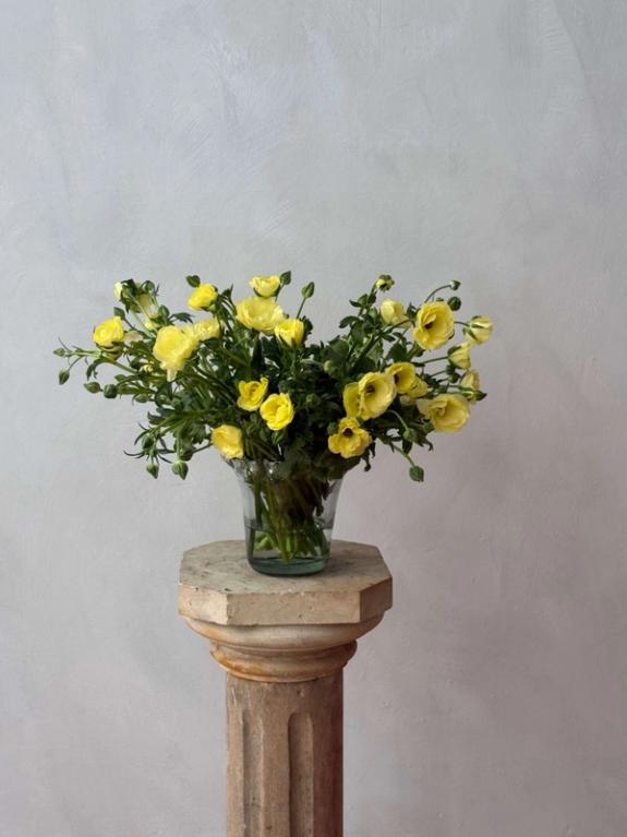 Thumbnail Image of Helios Butterfly Ranunculus