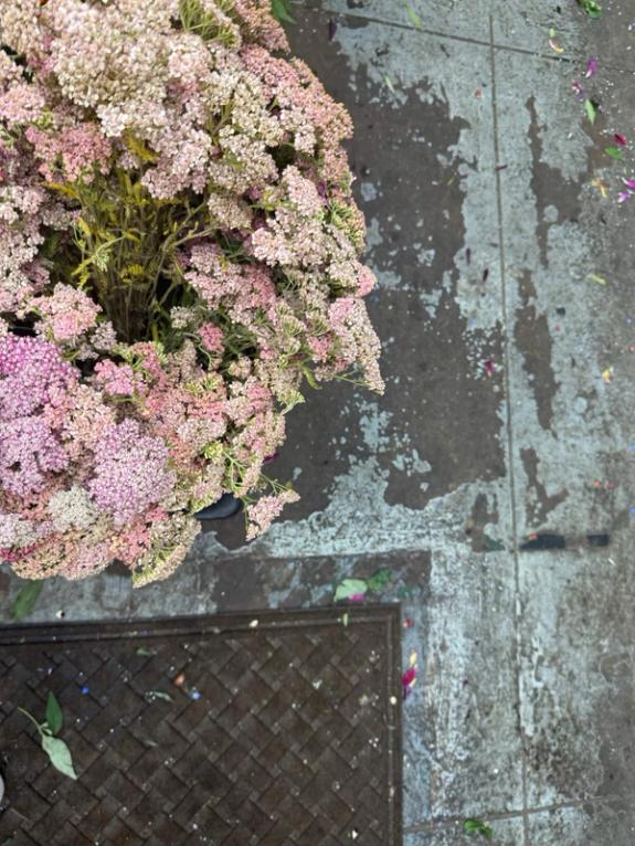 Fox Fodder Flowers image grid container slide 39