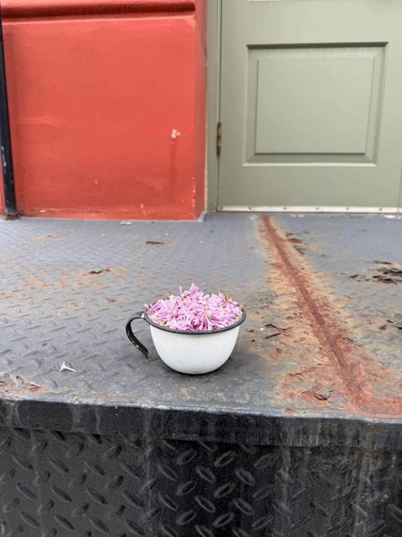 Fox Fodder Flowers image grid container slide 197