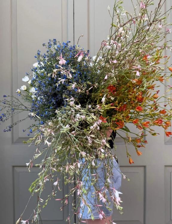 Fox Fodder Flowers image grid container slide 34