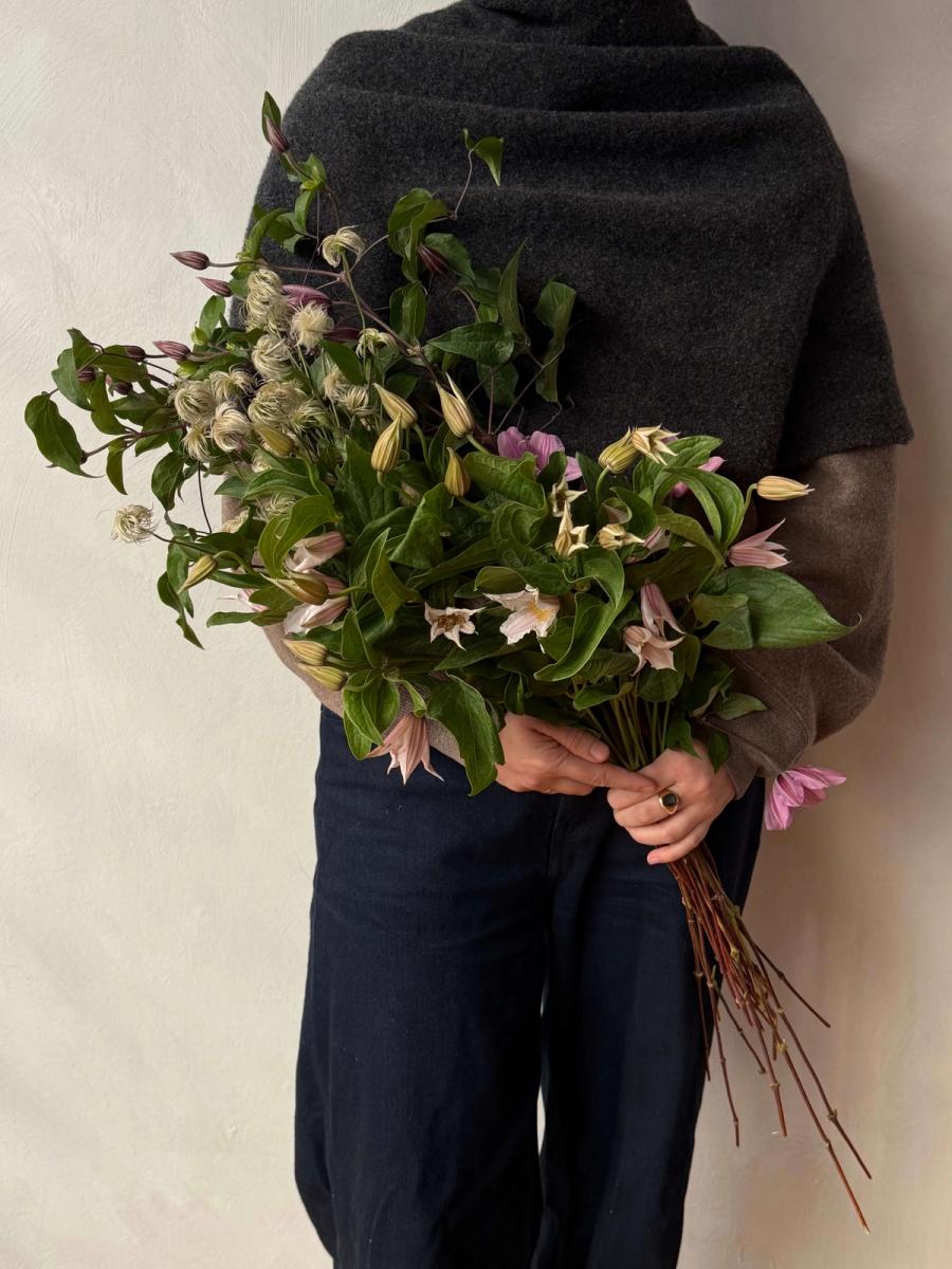 Product image in gallery for Clematis Mix | Item 1