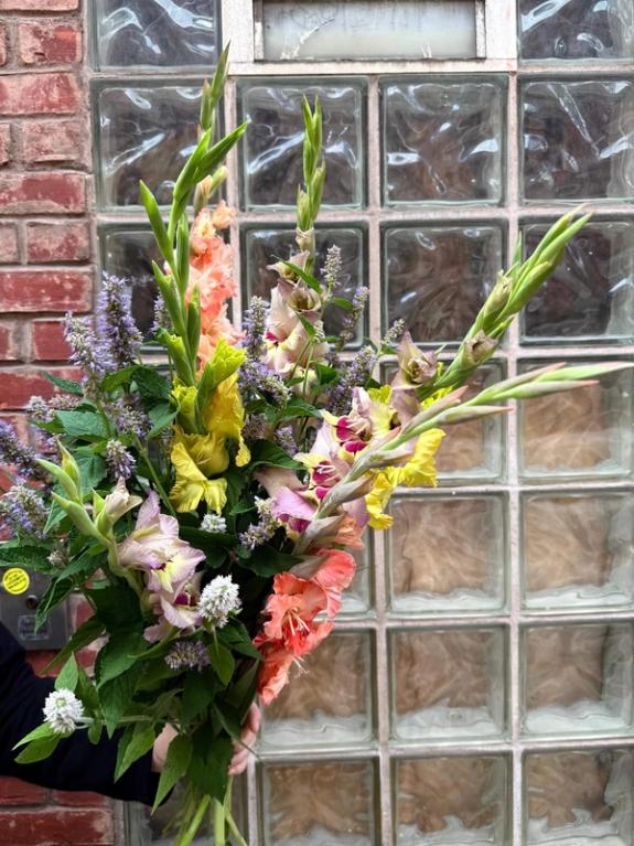 Hover Image of Mixed Gladiolus & Hyssop