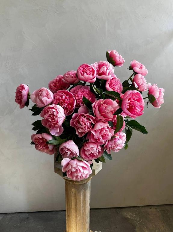 Thumbnail Image of Mother's Day - Peony Bouquet