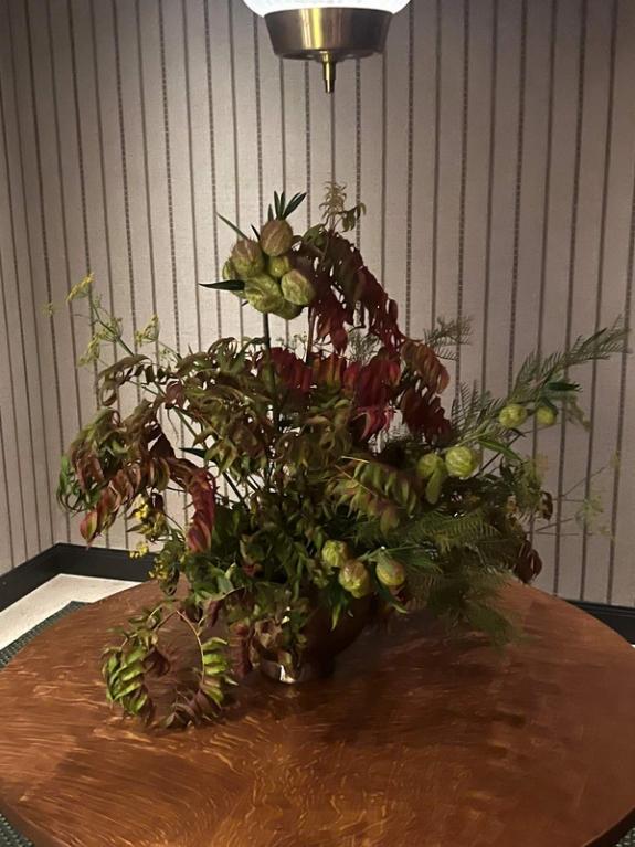 Fox Fodder Flowers image grid container slide 47