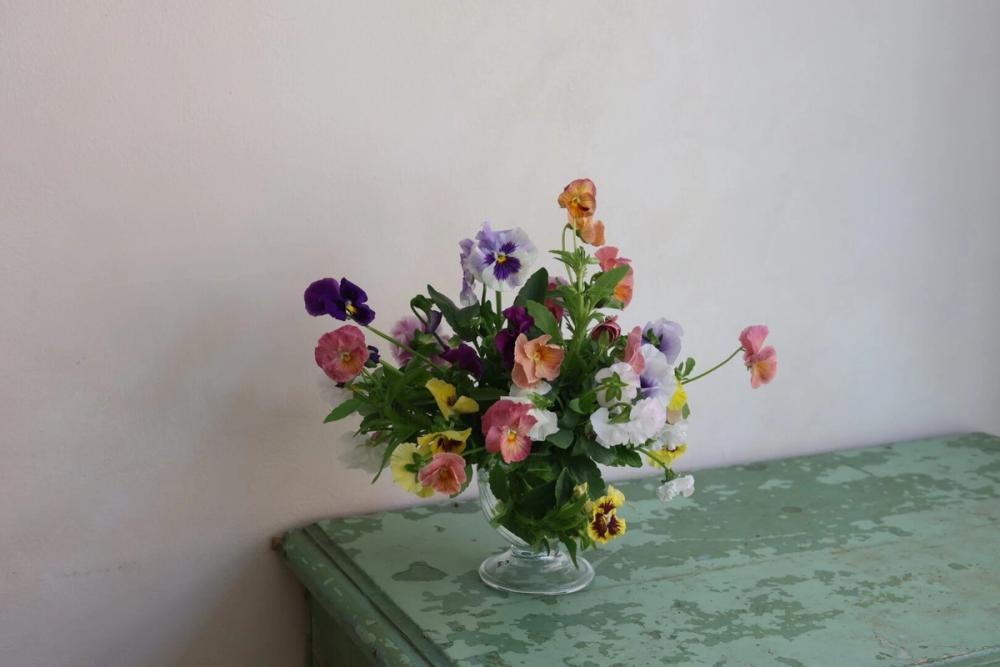 Fox Fodder Flowers Hero Slide 1 Image 1