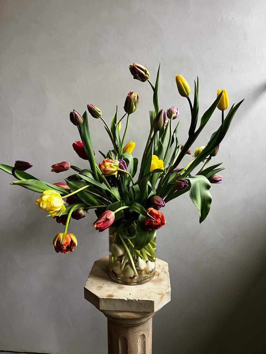 Product image in gallery for undefined | Item 2