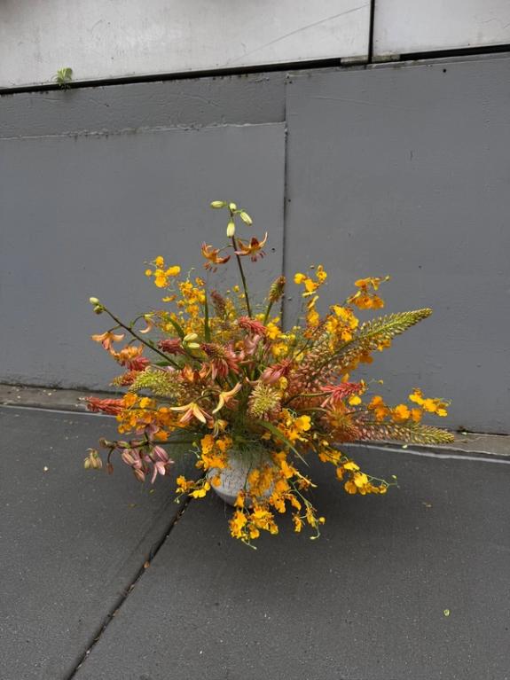 Fox Fodder Flowers image grid container slide 159