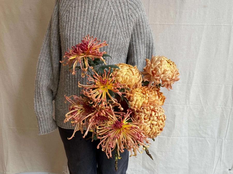 Product image in gallery for undefined | Item 1