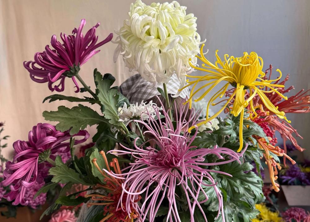 Fox Fodder Flowers Hero Slide 2 Image 1