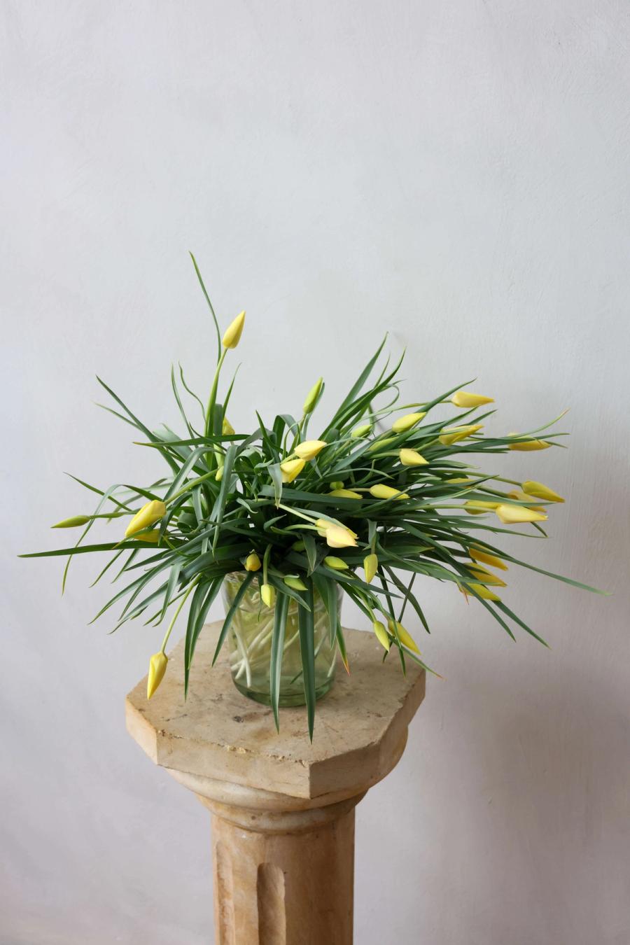 Product image in gallery for Honky Tonk Tulips | Item 1