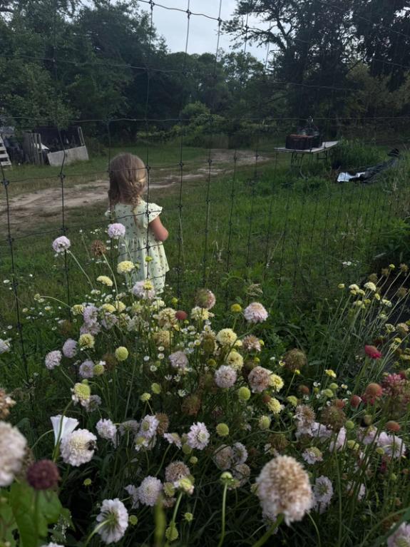 Fox Fodder Flowers image grid container slide 2