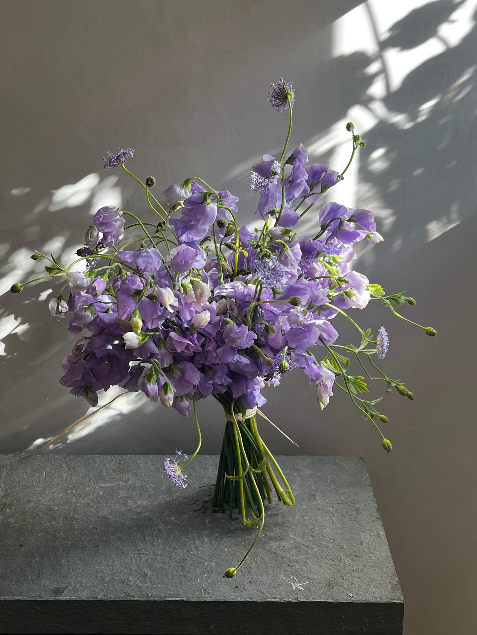 Fox Fodder Flowers | Japanese Sweet Pea and Lacy Lavender Didiscus
