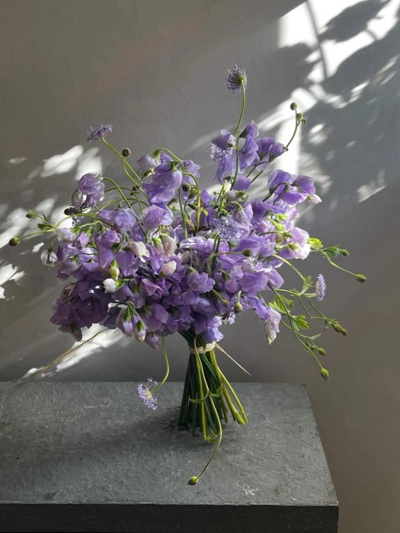 Hover Image of Japanese Sweet Pea and Lacy Lavender Didiscus